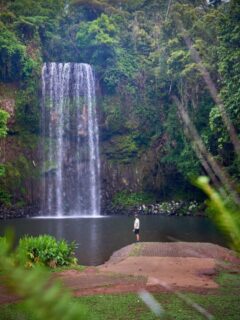 The Millaa Millaa Falls is located in the stunning Atherton Tablelands, Queensland, Australia. 🇦🇺🌿 Nestled in the heart of the Wet Tropics World Heritage Area, this 18-meter waterfall is surrounded by lush rainforest, making it one of the most iconic and photographed waterfalls in the region 😍!#travel #travelinfluencer