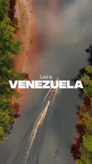 Memories from our 2023 journey through ⤵️ 💚

the beautiful Canaima National Park. It is located in the southeastern part of the country, near the borders of Brazil and Guyana, and is one of the most important natural areas in South America. You can expect vast landscapes with tropical rainforests, rivers, and unique table-top mountains called tepuis. You should not miss Angel Falls, the highest waterfall in the world, with a height of approximately 979 meters!! 🤩 It flows from Auyán-tepui and was the absolute highlight of our trip. Because of its remote location, you can usually only reach it by boat or small aircraft, which makes the experience even more special 🌿. You should plan your trip between May and November, during the rainy season. At this time, the waterfalls are at their most powerful and impressive. However, if you prefer more stable weather, you can also visit between December and April, but you should know that the water levels are lower and some waterfalls may be less spectacular.
The Canaima National Park is a UNESCO World Heritage Site which you should definitely add to your bucketlist 😍

#beautifulplaces #travel #travelinfluencer