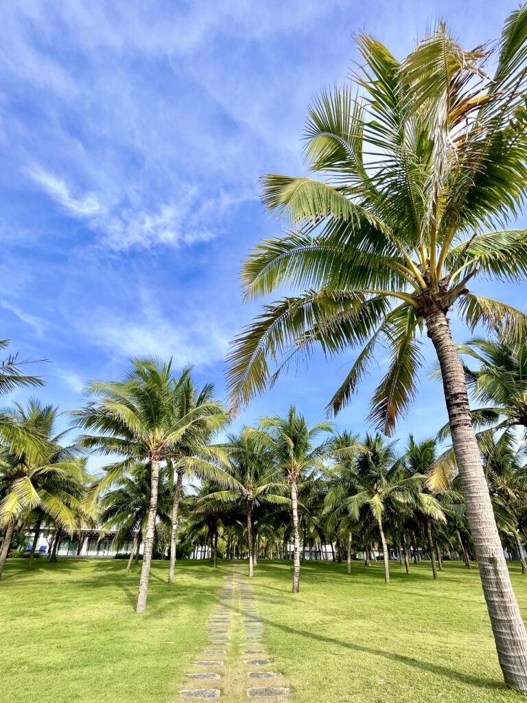Phu Quoc Palm Beach