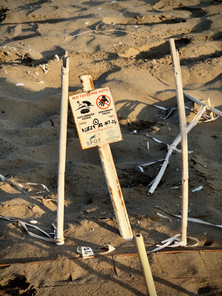 Schildkröten-Schutzgebiet