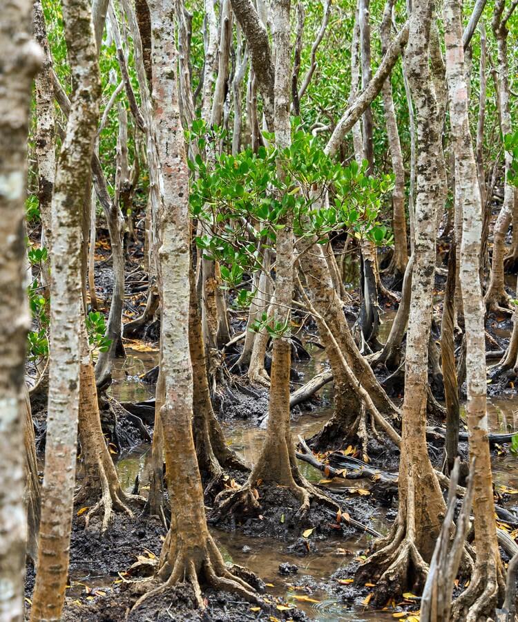 Australia East Coast Travelogue · Image 4