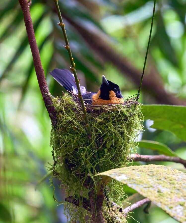 Australia East Coast Travelogue · Image 6