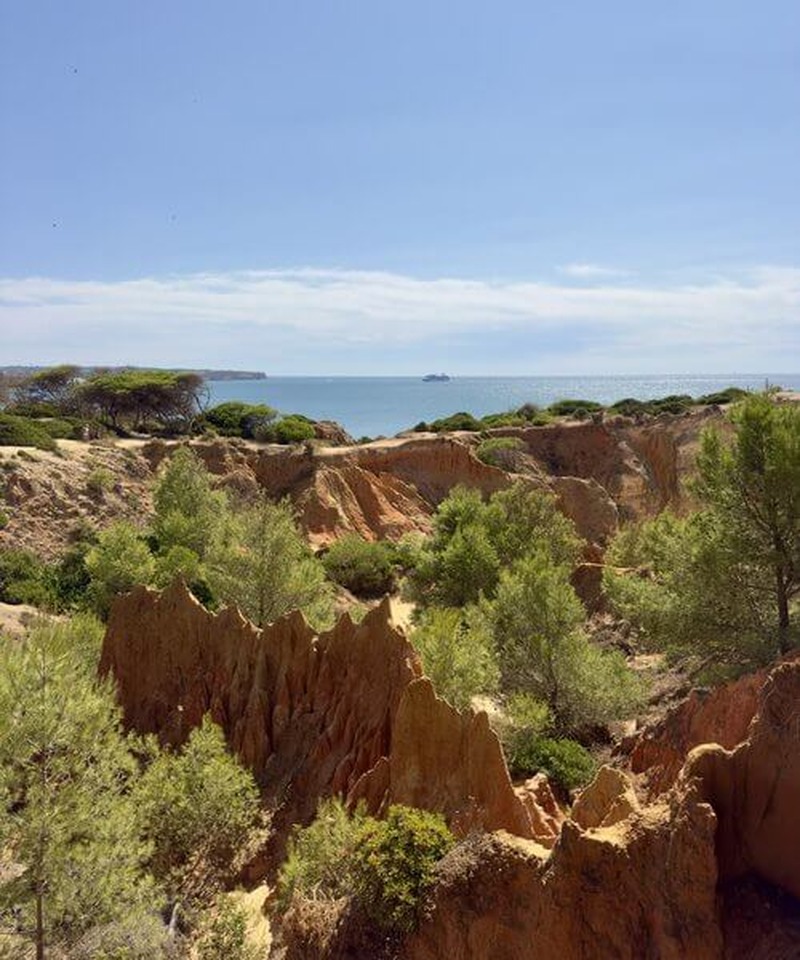 Red sandstone on the coast