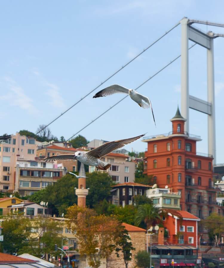 The best travel destinations in spring 2025 · Image 9