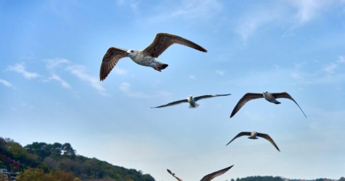 Spain Part 2 – Andalusia, Granada & the beaches of the Costa del Sol - Photo Max Haase Travel