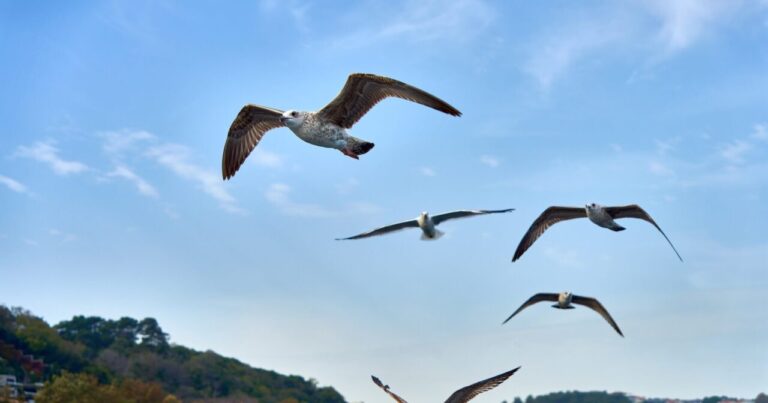 Andalusien Reisebericht: Rundreise, Geheimtipps & Karte