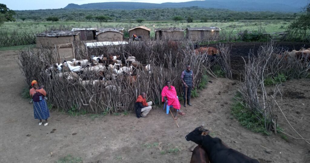 Kenia Safari Kosten — Budget-Breakdown für 10 Tage