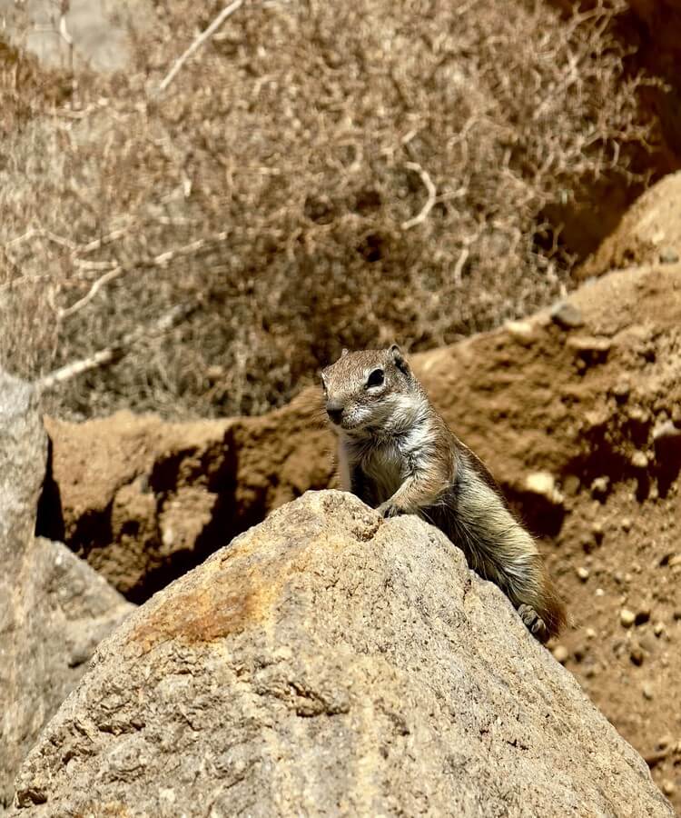 Fuerteventura travel report · Image 16