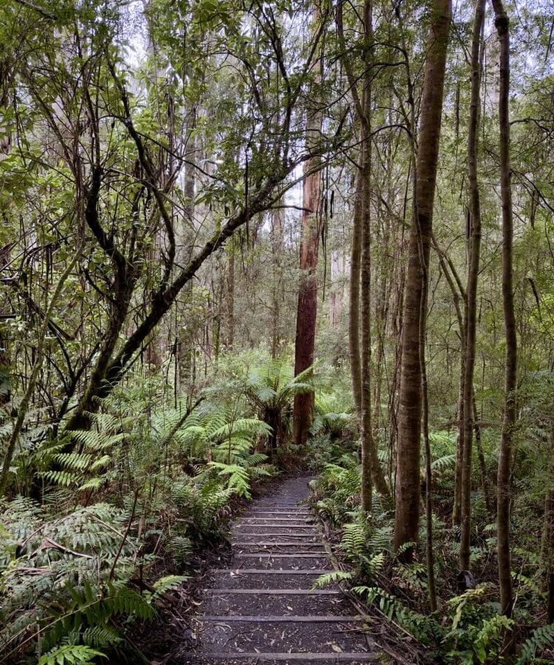 Great Ocean Road · Bild 6