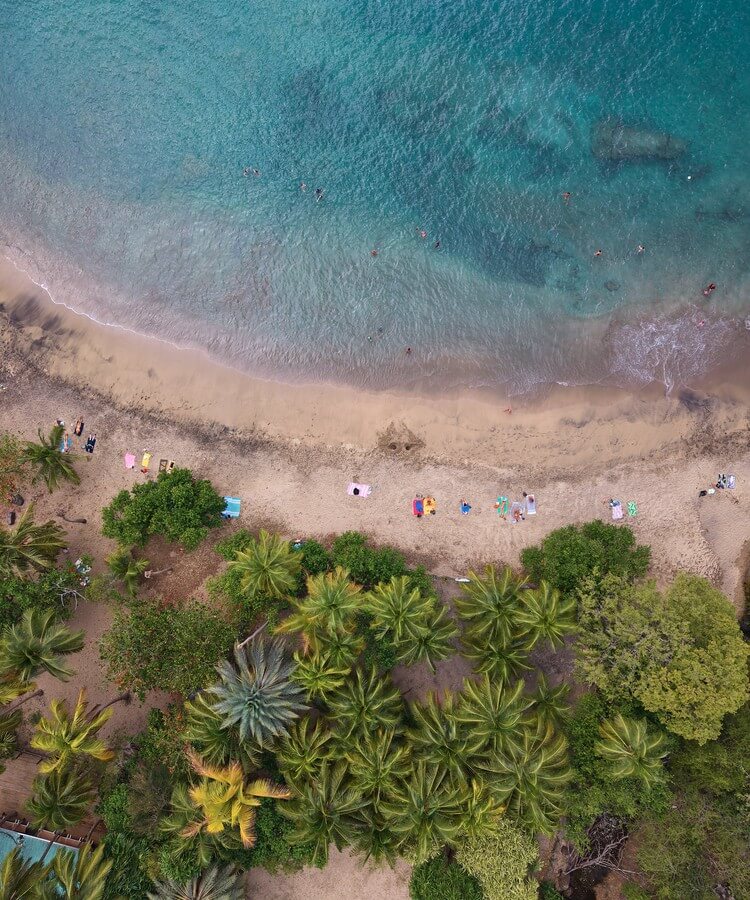 Caribbean Cruise Guide · Image 1