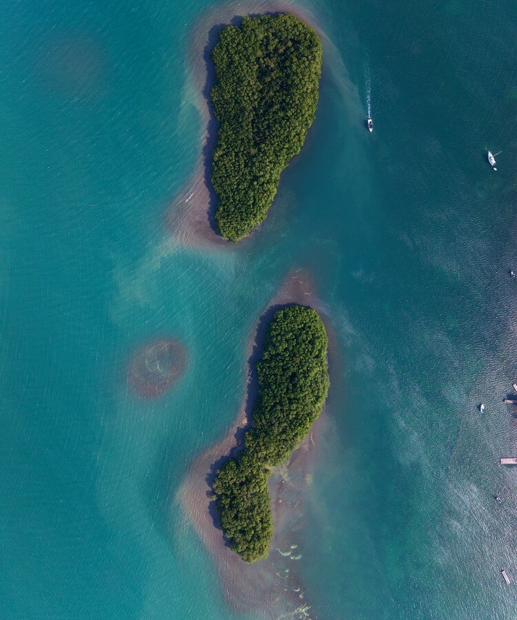 Caribbean Cruise Guide · Image 5