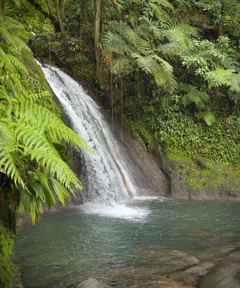 Karibik Kreuzfahrt Reisebericht · Bild 11