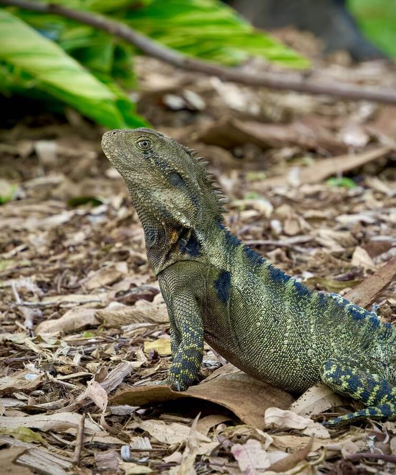Karibik Kreuzfahrt Reisebericht · Bild 8
