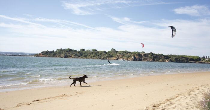 kite-featured-1