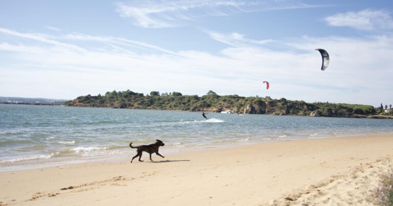 Kitesurfen Algarve: Portugal-Spots, Faro & Anfänger-Tipps