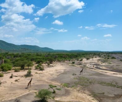 luxury-adventure-travel-kenia-safari-drohne