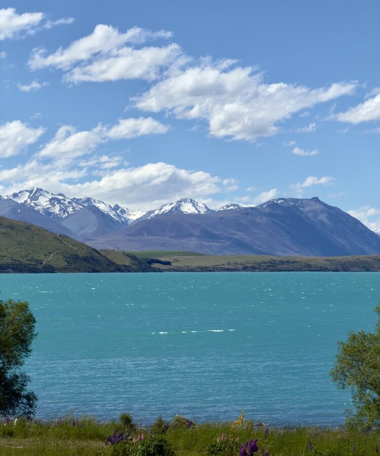 New Zealand Road Trip · Image 8
