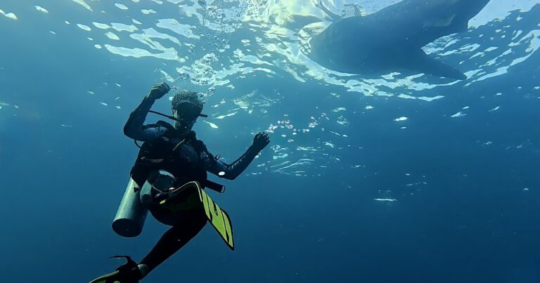 Tauchen lernen auf Reisen — Meine Erfahrungen