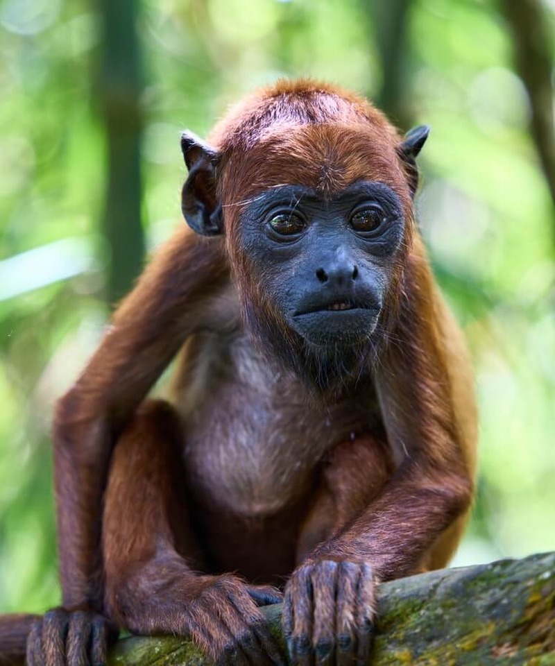 Book a travel influencer · Image 10