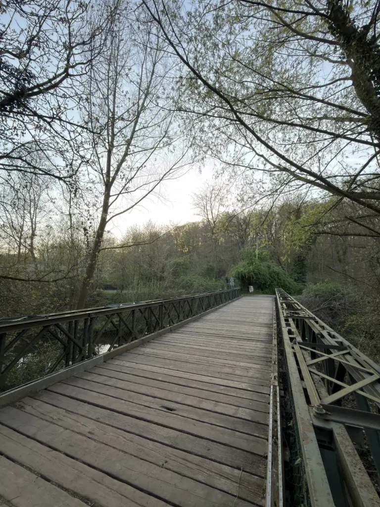 Holzbrücke im Wald bei Abendlicht
