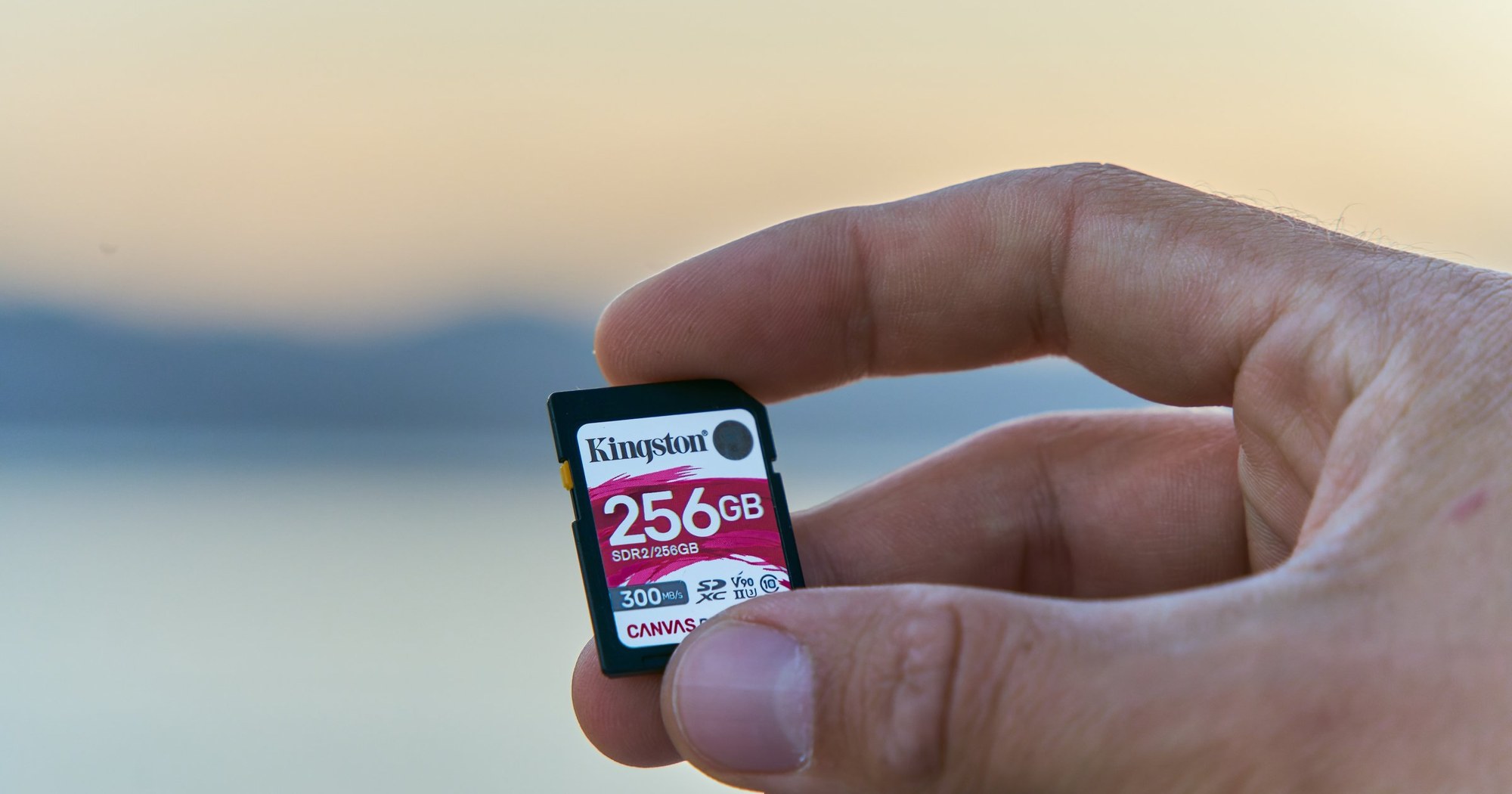 A hand holds a 256GB Kingston SD card in front of a seascape in the evening light.